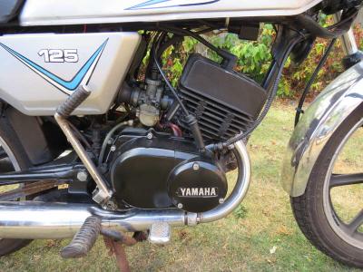 1981 Yamaha RD125DX