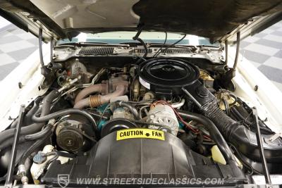 1980 Pontiac Firebird Trans Am Turbo Pace Car