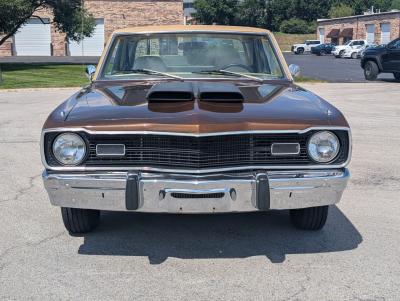 1974 Dodge DART SWINGER