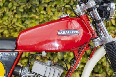 1979 Fantic CABALLERO REGOLARITA 50