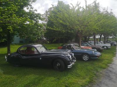 1956 Jaguar XK 140 fhc 1956