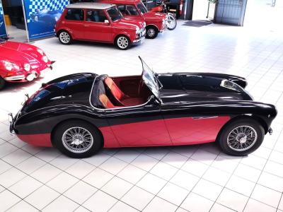 1956 Austin - Healey 100-4 BN2 1956