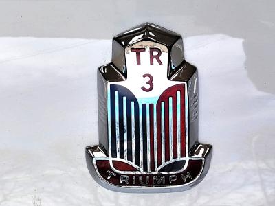 1955 Triumph TR3 SPORT 1955 1000 MIGLIA ELIGIBLE