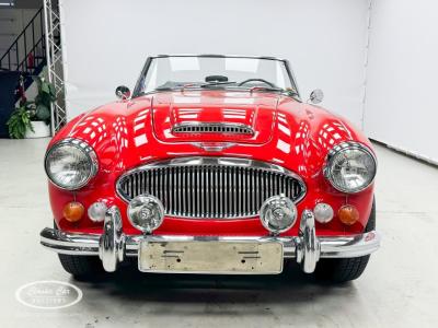 1966 Austin - Healey 3000
