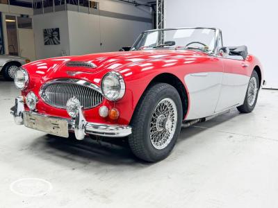 1966 Austin - Healey 3000