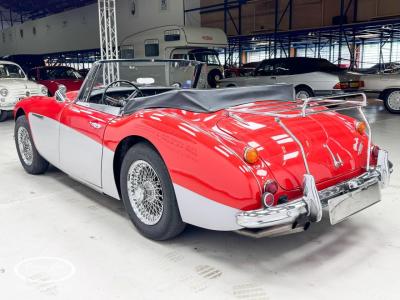 1966 Austin - Healey 3000