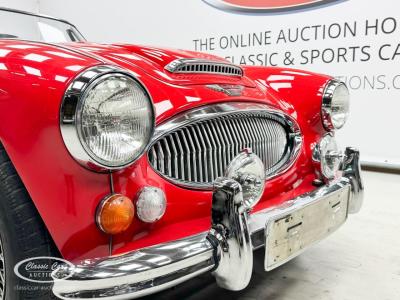 1966 Austin - Healey 3000