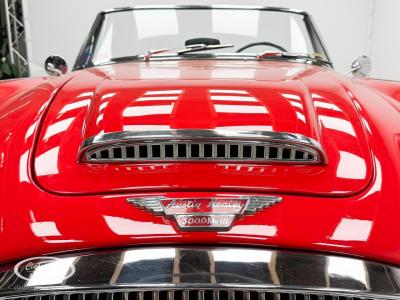 1966 Austin - Healey 3000