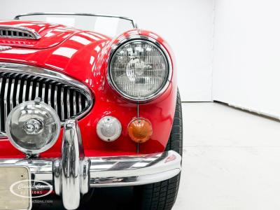 1966 Austin - Healey 3000