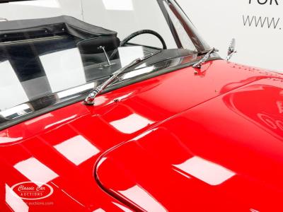 1966 Austin - Healey 3000
