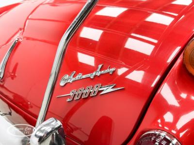 1966 Austin - Healey 3000