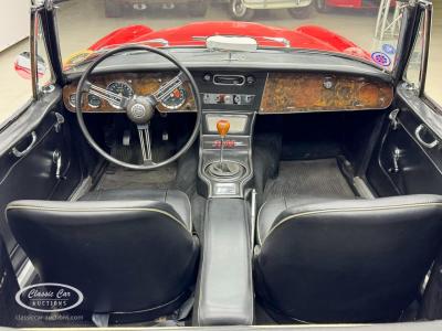 1966 Austin - Healey 3000