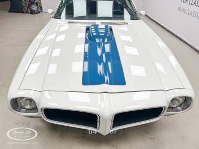 1977 Pontiac Firebird