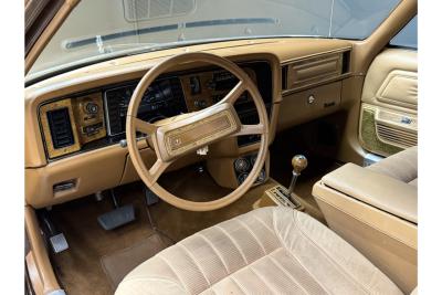 1982 AMC Pacer Hatchback 4.2 &ldquo;One private owner - 82.000 kms&rdquo;