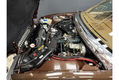 1982 AMC Pacer Hatchback 4.2 &ldquo;One private owner - 82.000 kms&rdquo;