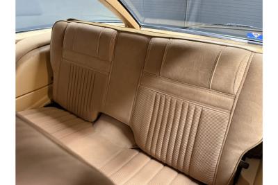 1982 AMC Pacer Hatchback 4.2 &ldquo;One private owner - 82.000 kms&rdquo;