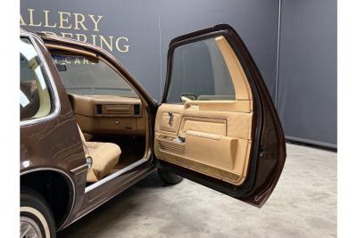 1982 AMC Pacer Hatchback 4.2 &ldquo;One private owner - 82.000 kms&rdquo;