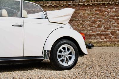 1977 Volkswagen Beetle 1303 Convertible &ldquo;Champagne Limited Edition&rdquo;