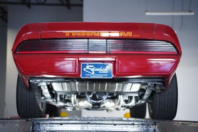 1979 Pontiac Firebird Trans Am Tribute