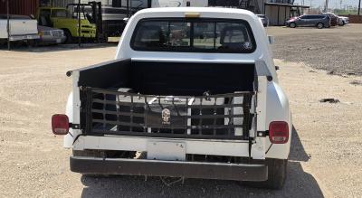 1975 Dodge D100