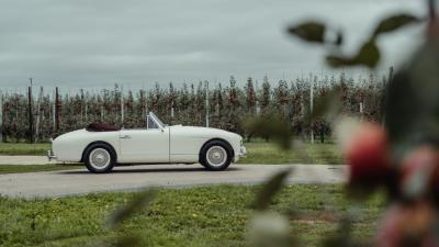 1954 Aston Martin DB2/4 Mk I Drophead Coupe