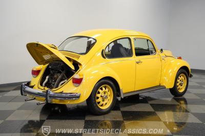 1973 Volkswagen Super Beetle