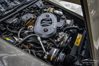1982 Chevrolet Corvette Collector Edition