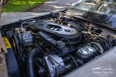 1982 Chevrolet Corvette Collector Edition