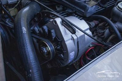 1982 Chevrolet Corvette Collector Edition