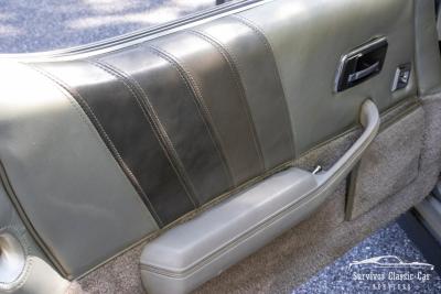 1982 Chevrolet Corvette Collector Edition