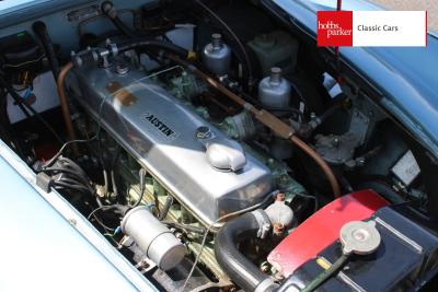 1957 Austin - Healey 100/6