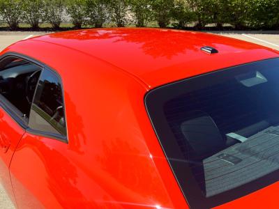 2009 Challenger Trailer