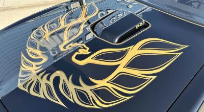 1978 Pontiac Firebird