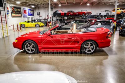 1997 Ford Mustang SVT Cobra