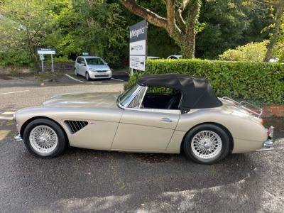 1965 Austin - Healey 3000
