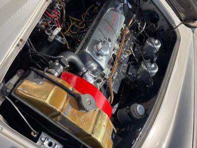1965 Austin - Healey 3000
