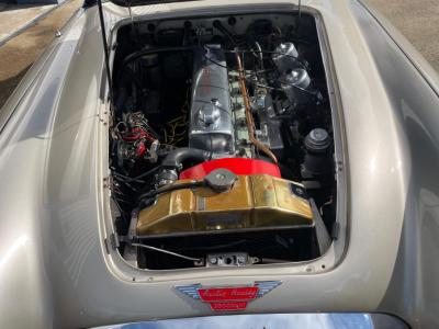 1965 Austin - Healey 3000