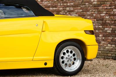 1995 Alfa Romeo RZ &ldquo;The №190&rdquo;