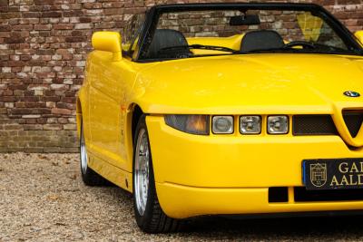 1995 Alfa Romeo RZ &ldquo;The №190&rdquo;