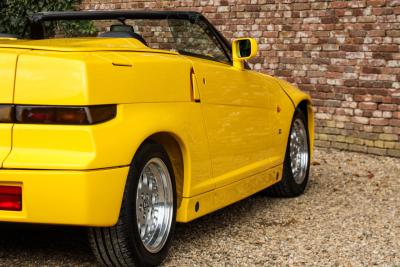 1995 Alfa Romeo RZ &ldquo;The №190&rdquo;
