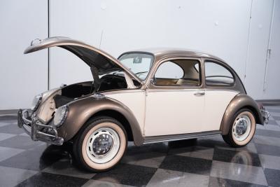1966 Volkswagen Beetle