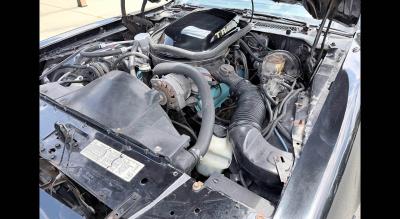 1979 Pontiac Trans Am