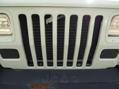 1995 Jeep Wrangler 4X4