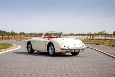 1957 Healey 100/6