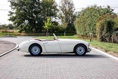 1957 Healey 100/6