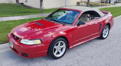 1999 Ford MUSTANG COBRA