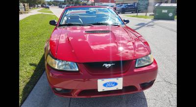 1999 Ford MUSTANG COBRA