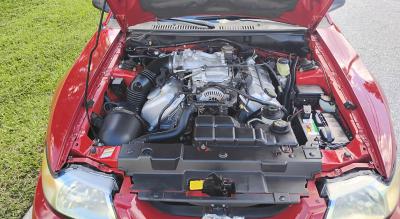 1999 Ford MUSTANG COBRA