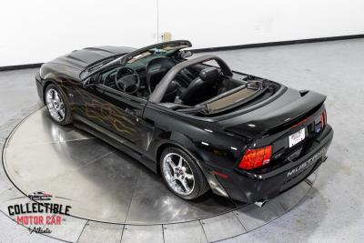 2002 Ford Mustang GT
