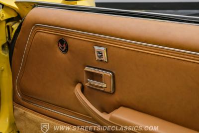 1979 Pontiac Firebird Trans Am